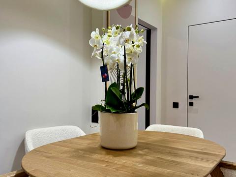 квартира за адресою Київ, Родини Кістяківських вул., 10