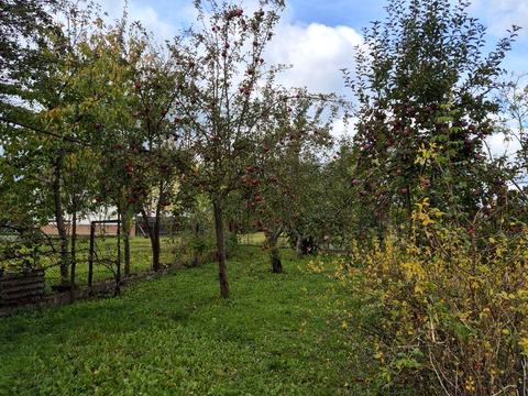 будинок за адресою шевченка