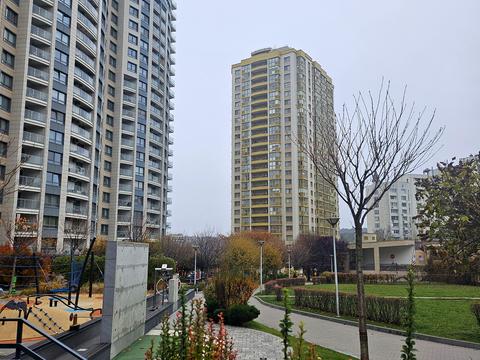 квартира за адресою Голосіївський просп. (40-річчя Жовтня), 62