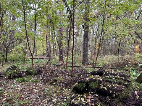 ділянка за адресою Котляревського, 49