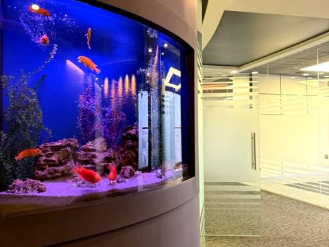 коммерческая по адресу Киев, Мечникова ул. (Кловский), 2