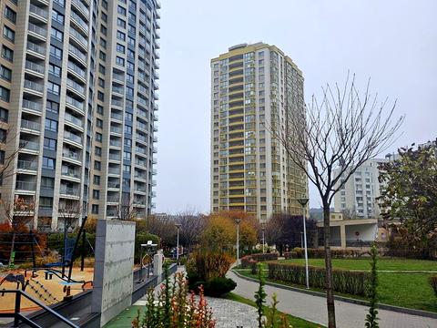 квартира по адресу Голосеевский просп. (40-летия Октября), 62