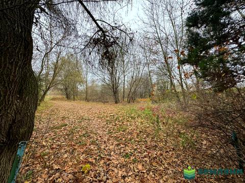 ділянка за адресою с. Підлужжя, Шевченка 62а