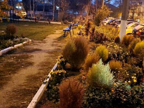 квартира за адресою Героїв 55-ї бригади вул., 59