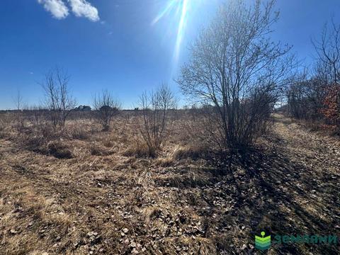 участок по адресу с. Чукаловка, 