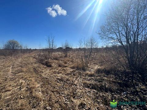 участок по адресу с. Чукаловка, 