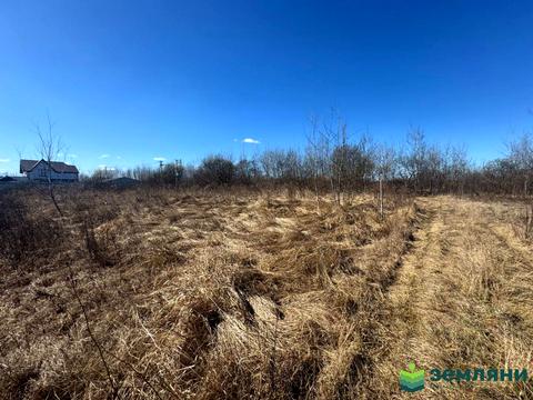 участок по адресу с. Чукаловка, 