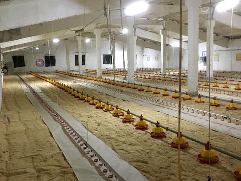 коммерческая по адресу  пер., 1