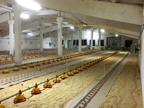 коммерческая по адресу  пер., 1