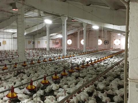 коммерческая по адресу  пер., 1