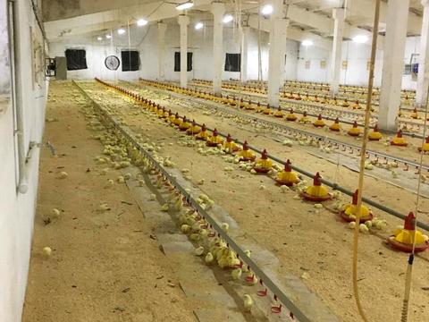 коммерческая по адресу  пер., 1