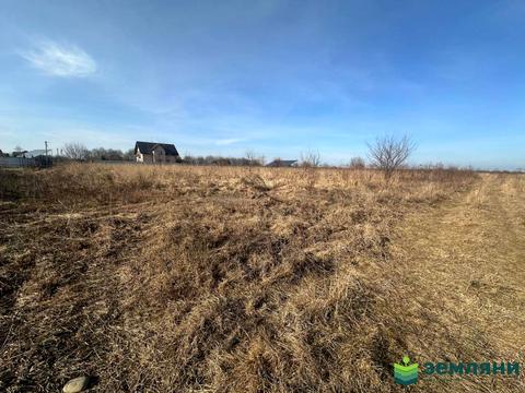 участок по адресу с. Чукаловка, 