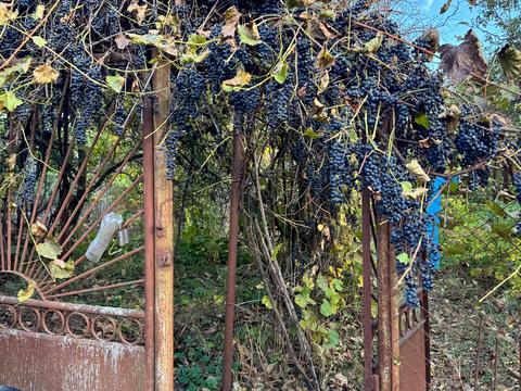 ділянка за адресою Староруслянська вул.