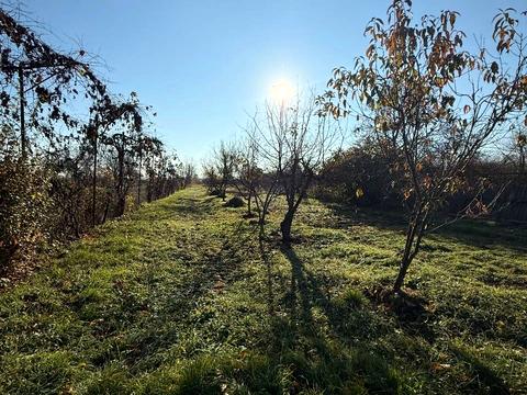 будинок за адресою Миру