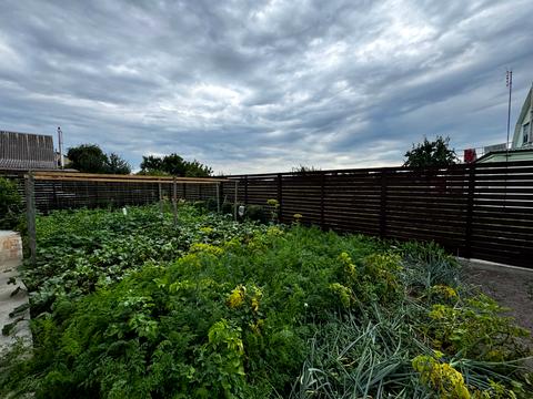 дом по адресу Широкая ул. (Червоноармійська)