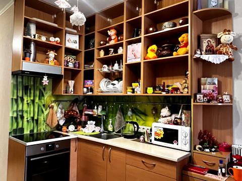 квартира по адресу Большая Панасовская ул. (Котлова), 106