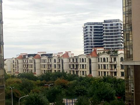 квартира по адресу Французский бульв., 60