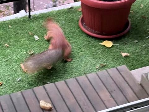 квартира за адресою Олександра Поля просп. (Кірова), 96-А