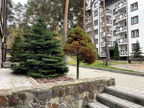 комерційна за адресою Придорожна вул., 1