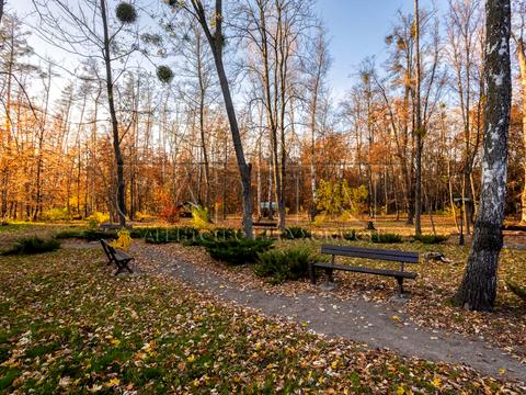 комерційна за адресою Берестейське шосе (Брест-Литовське), 8-А