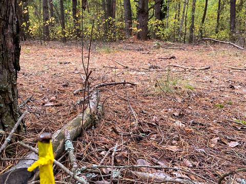 участок по адресу 