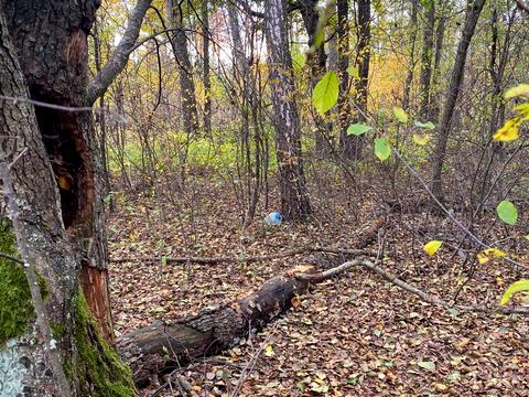 участок по адресу 