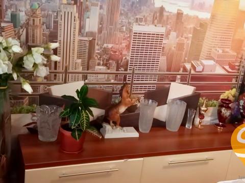 квартира за адресою Шкільна вул. (Героїв Сталінграда), 444