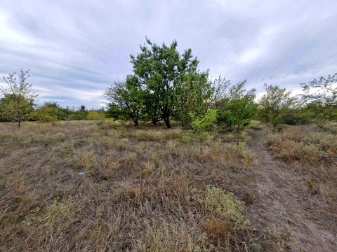 будинок за адресою Кривий Ріг, Поповича