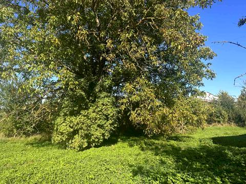 участок по адресу Південна, 12