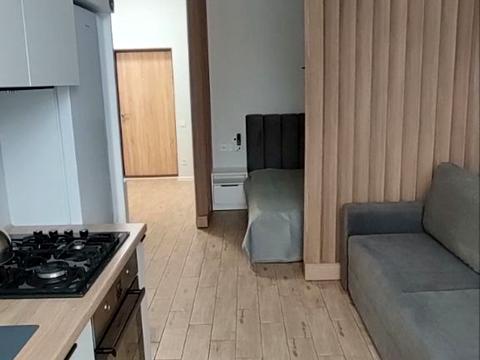 квартира по адресу Дача Ковалевского ул., 91