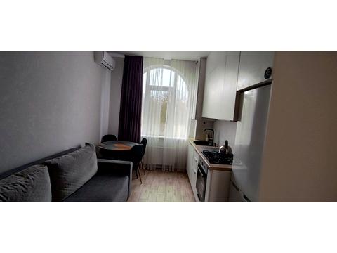 квартира по адресу Дача Ковалевского ул., 91