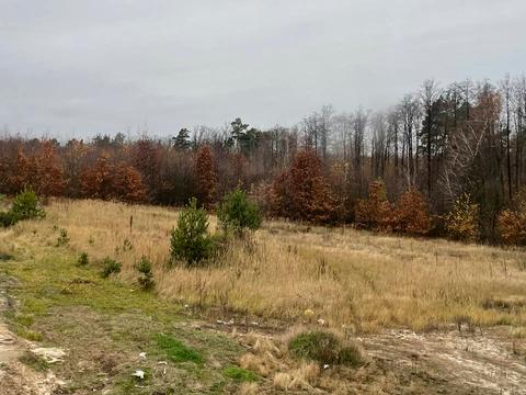 дом по адресу Трудова