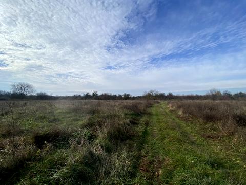 ділянка за адресою с. Палло, Головна