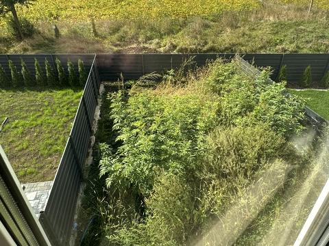 будинок за адресою Головна, 115