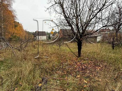 участок по адресу с. Демидов, СТ Вишеньки