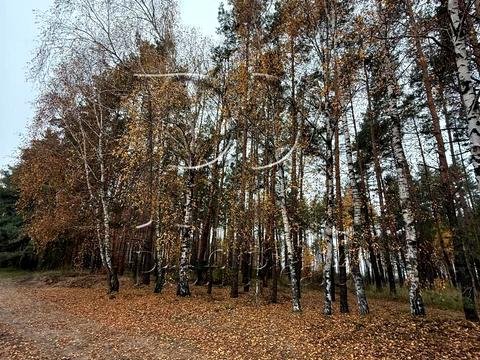 участок по адресу с. Демидов, СТ Вишеньки