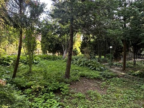 дом по адресу Петрозаводская ул., 109