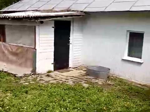 будинок за адресою Шевченка