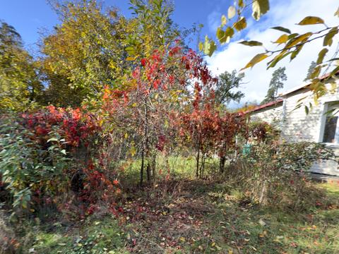 дом по адресу Тургенева ул., 9-В