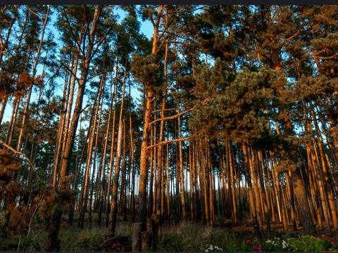 будинок за адресою Стоянка2