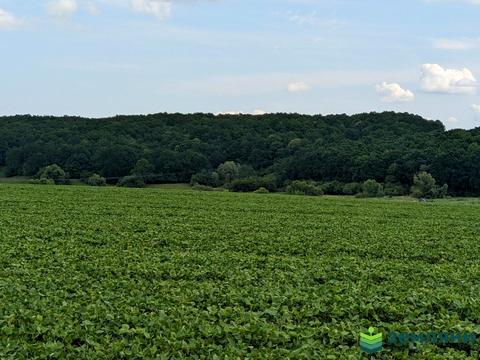 участок по адресу 