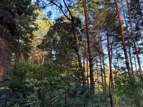 участок по адресу Лісова