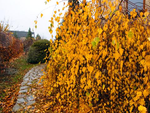 будинок за адресою Сонячна вул., 3