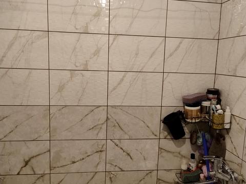 квартира по адресу Зерновая ул., 6/3