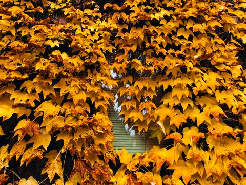 будинок за адресою Сонячна вул., 3