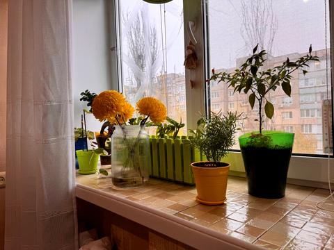 квартира за адресою Семафорна вул., 32