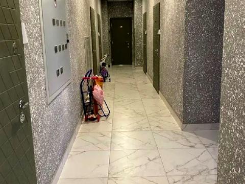 квартира по адресу Владислава Бувалкина ул., 66