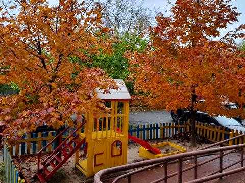 коммерческая по адресу Леси Украинки ул., 19