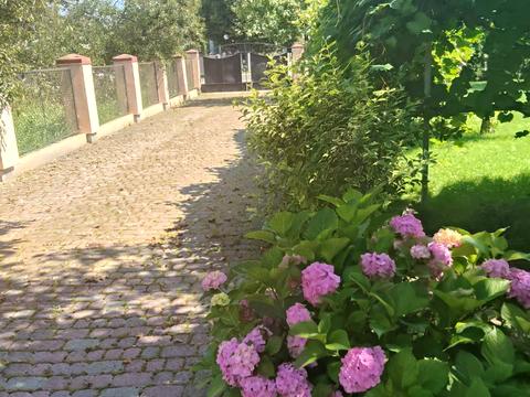 дом по адресу Леси Украинки ул.