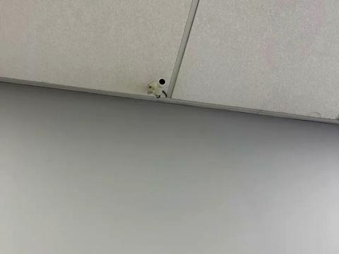 комерційна за адресою Старонаводницька вул., 13